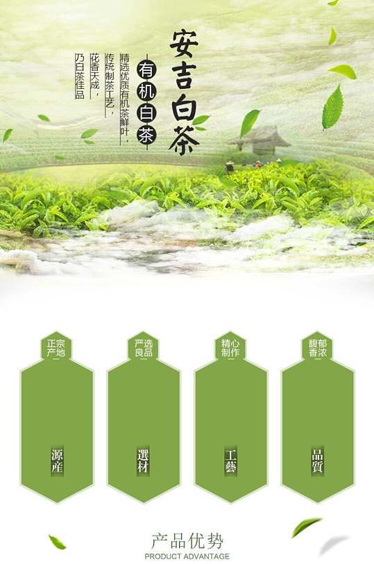 安吉白茶茶叶详情页