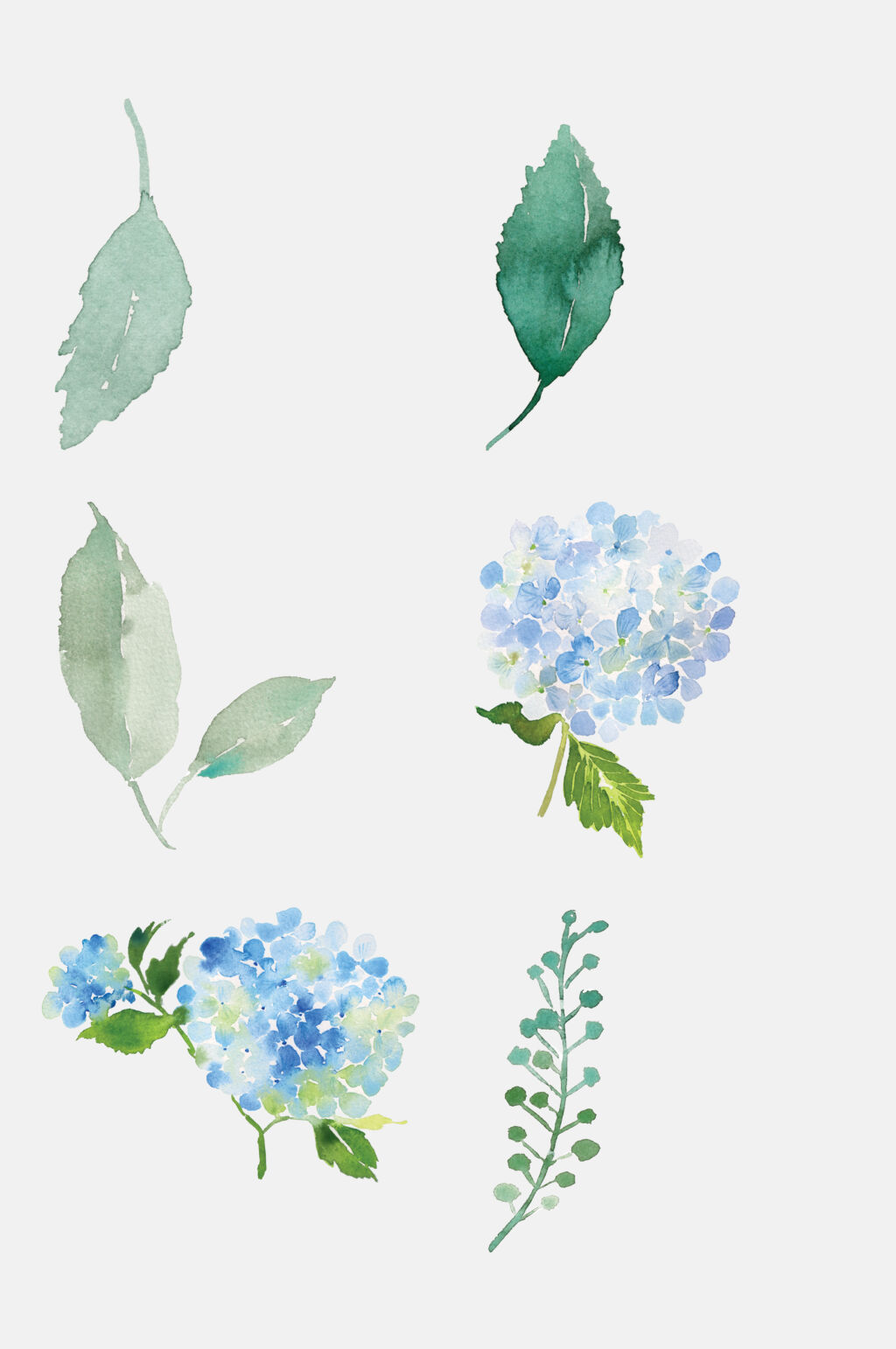 唯美叶子清新手绘花卉植物免抠素材素材