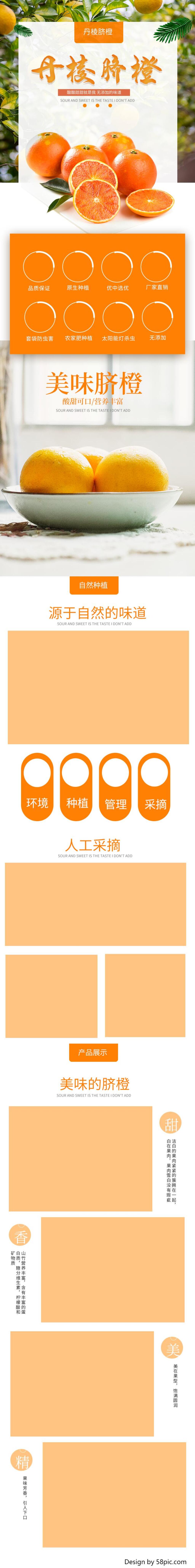 诱人丹棱脐橙赣南脐橙详情页素材