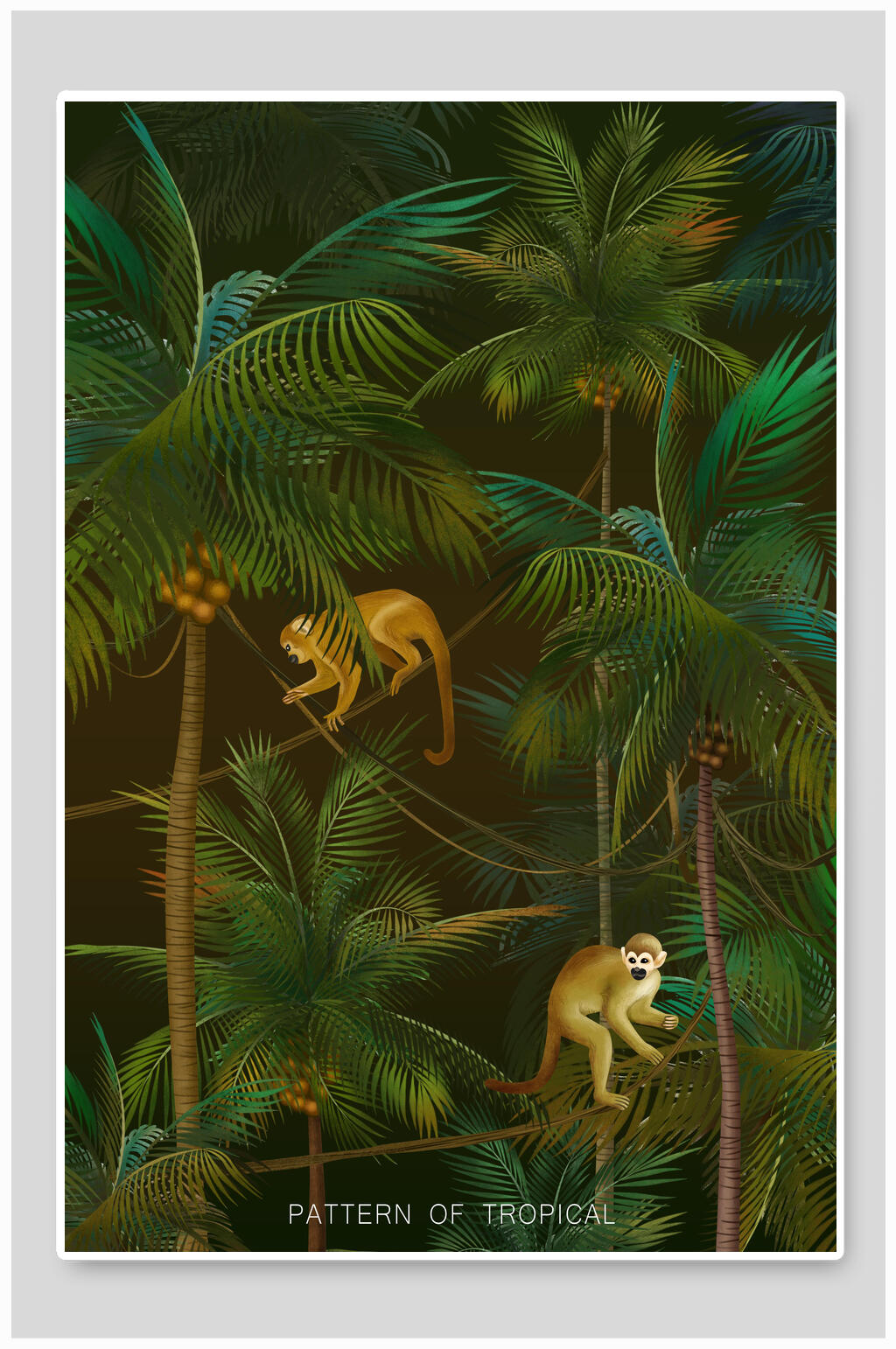 椰树猴子森林动植物插画素材