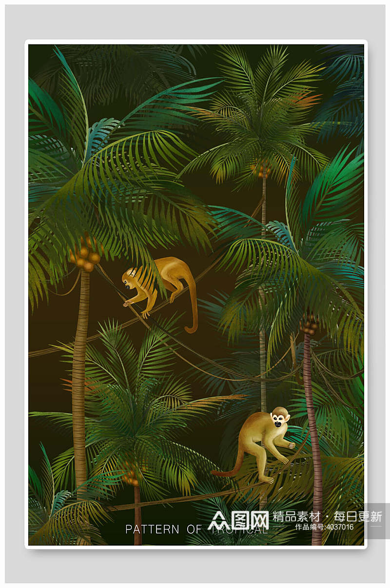 椰树猴子森林动植物插画素材