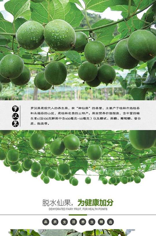 脱水鲜果罗汉果药材详情页-众图网
