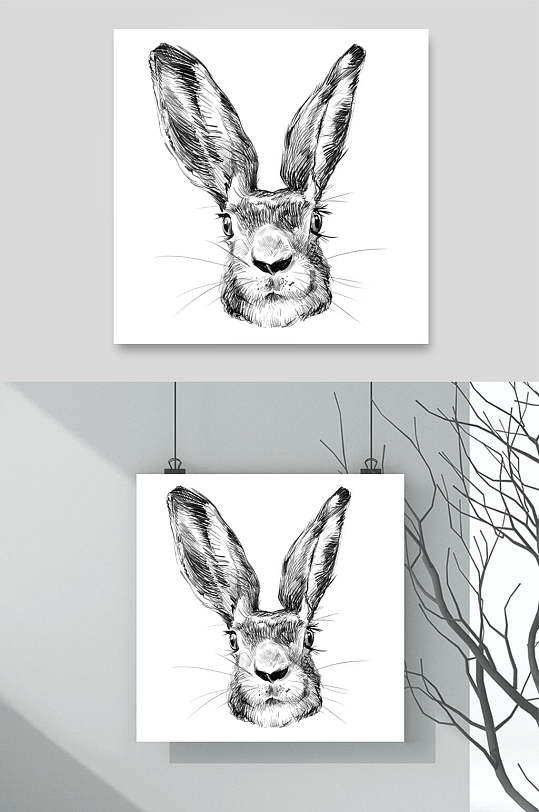 手绘素描画兔头动物素材