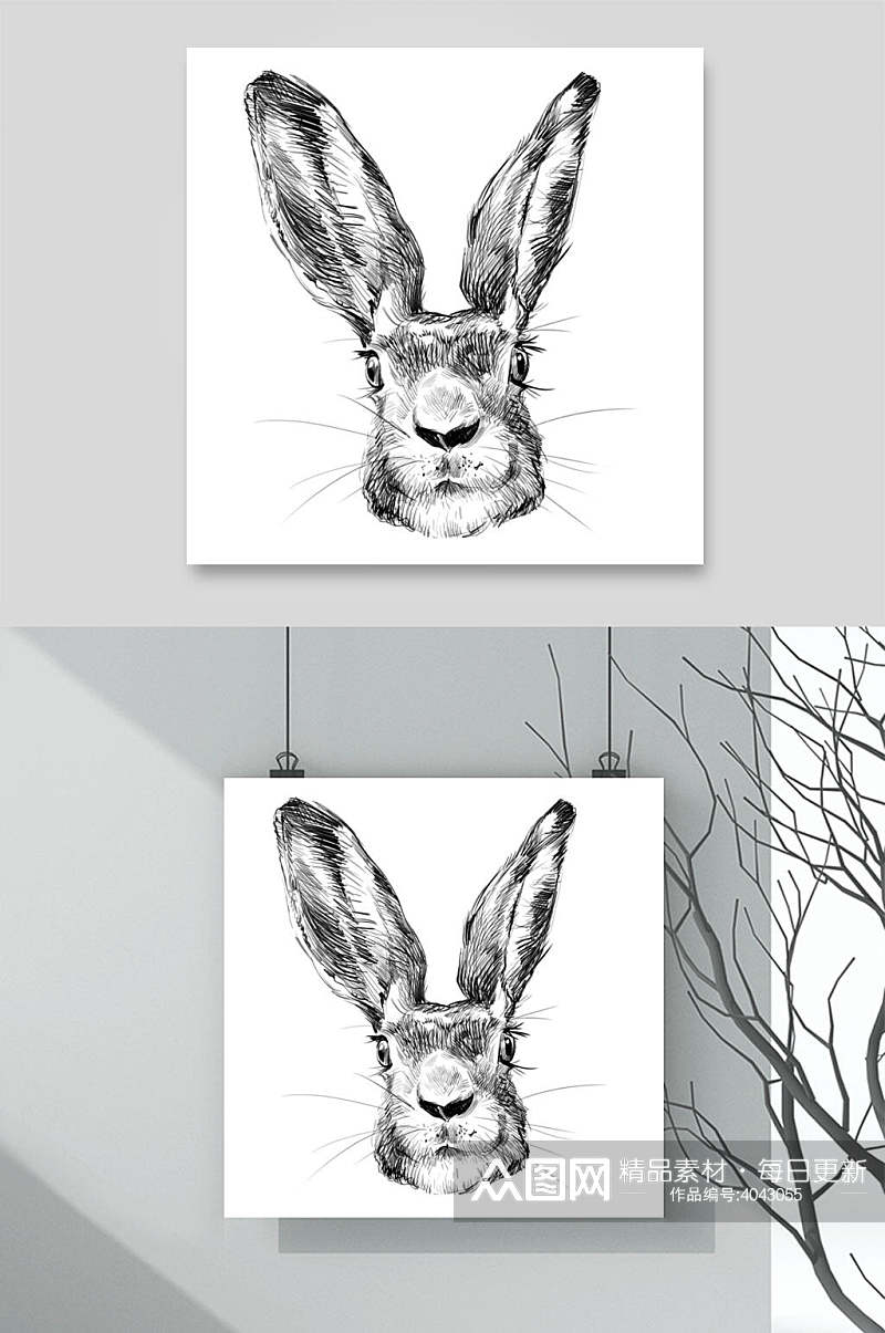 手绘素描画兔头动物素材素材