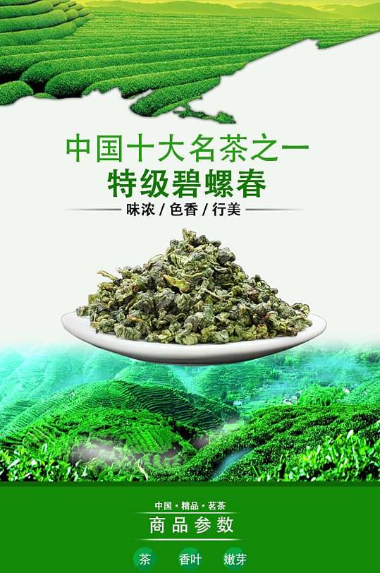 碧螺春茶叶详情页立即下载中国名茶西湖龙井茶海报立即下载中国名茶