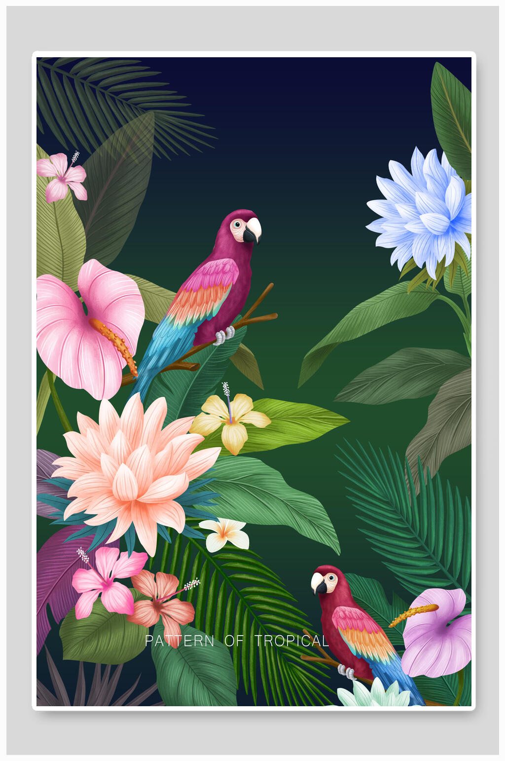 鲜花森林动植物插画素材