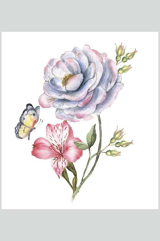 手绘水彩月季花插画素材