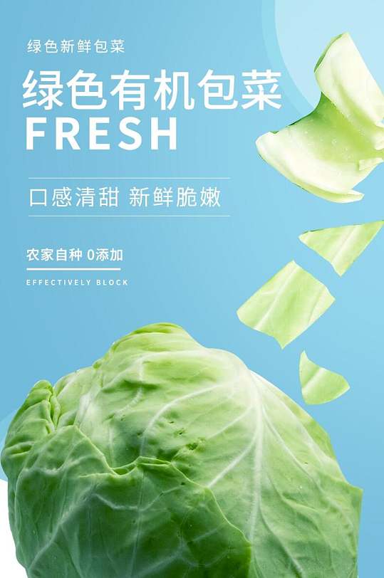 绿色有机包菜蔬菜手机版详情页