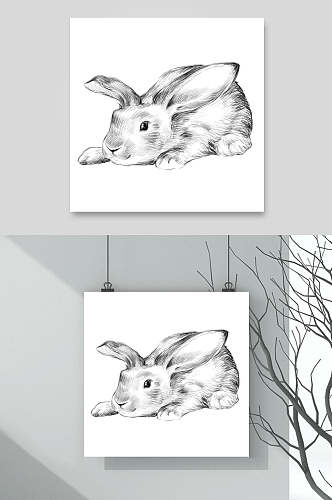 兔子黑创意高端手绘素描画动物素材
