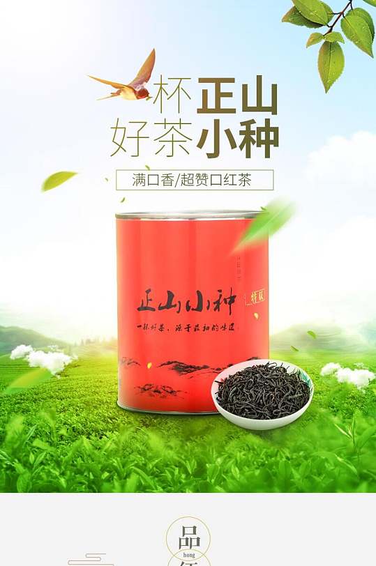 一杯正山好茶小种茶叶电商详情页立即下载普洱茶海报茶叶海报正山小种