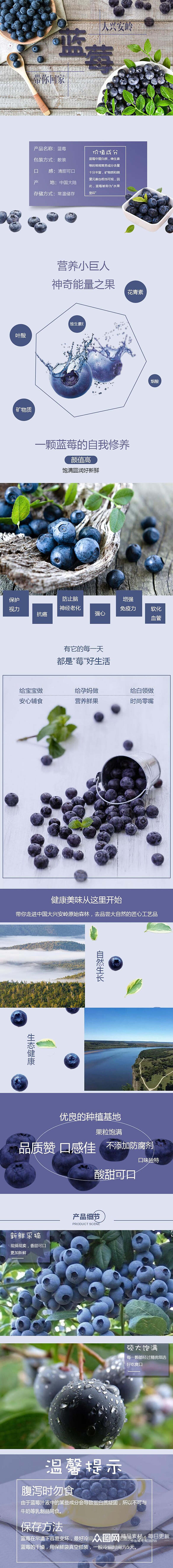 蓝莓水果电商详情页素材