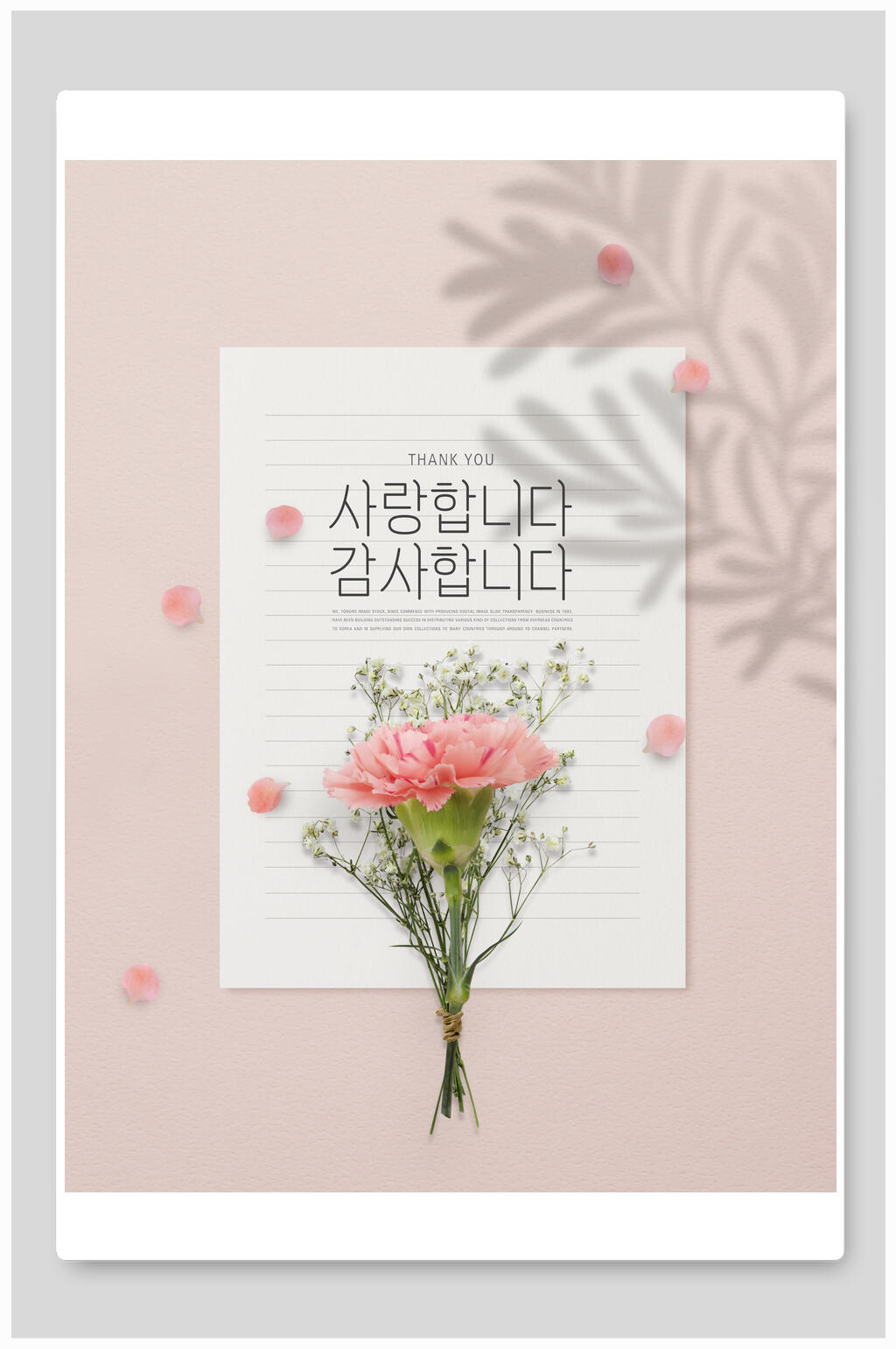 鲜花韩文鲜花贺卡素材