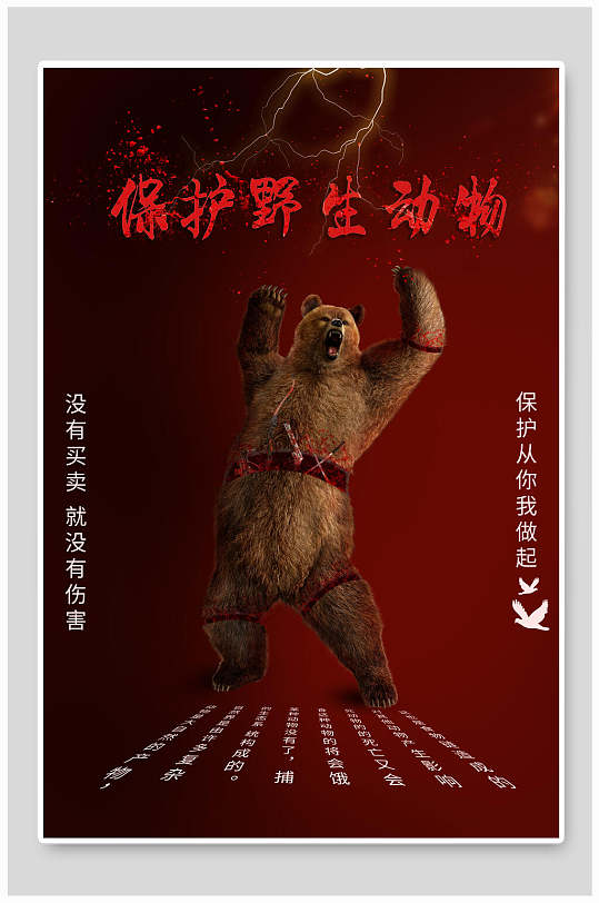 保护野生动物爱心慈善海报