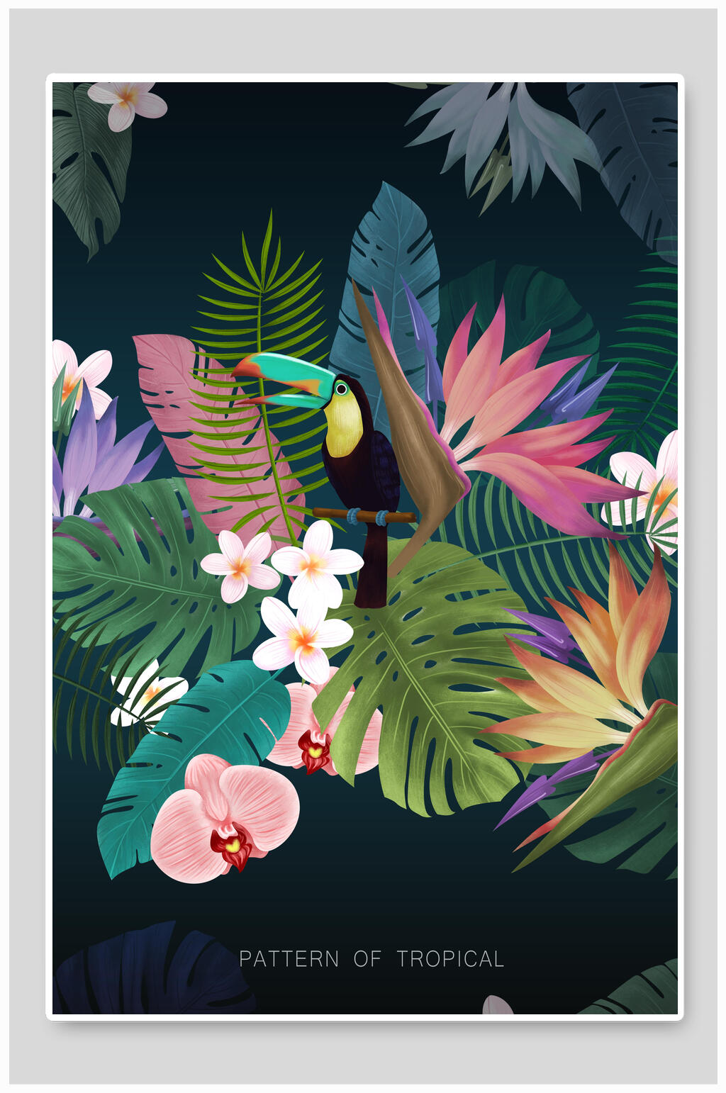 鲜花叶子森林动植物插画素材