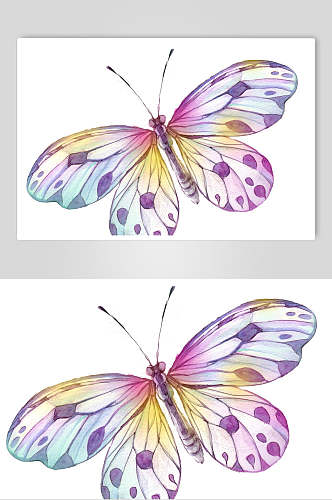 唯美蝴蝶手绘水彩动物植插画素材