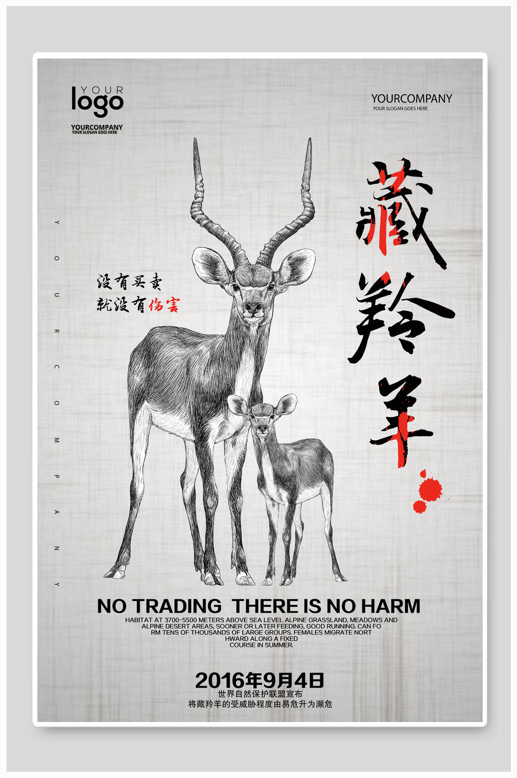 保护藏羚羊的海报图片