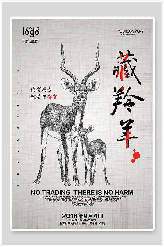 藏羚羊保护动物海报