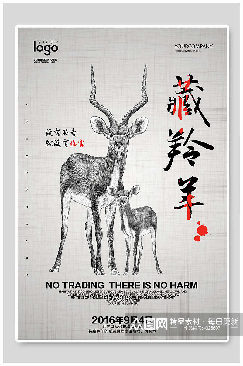 藏羚羊保护动物海报素材