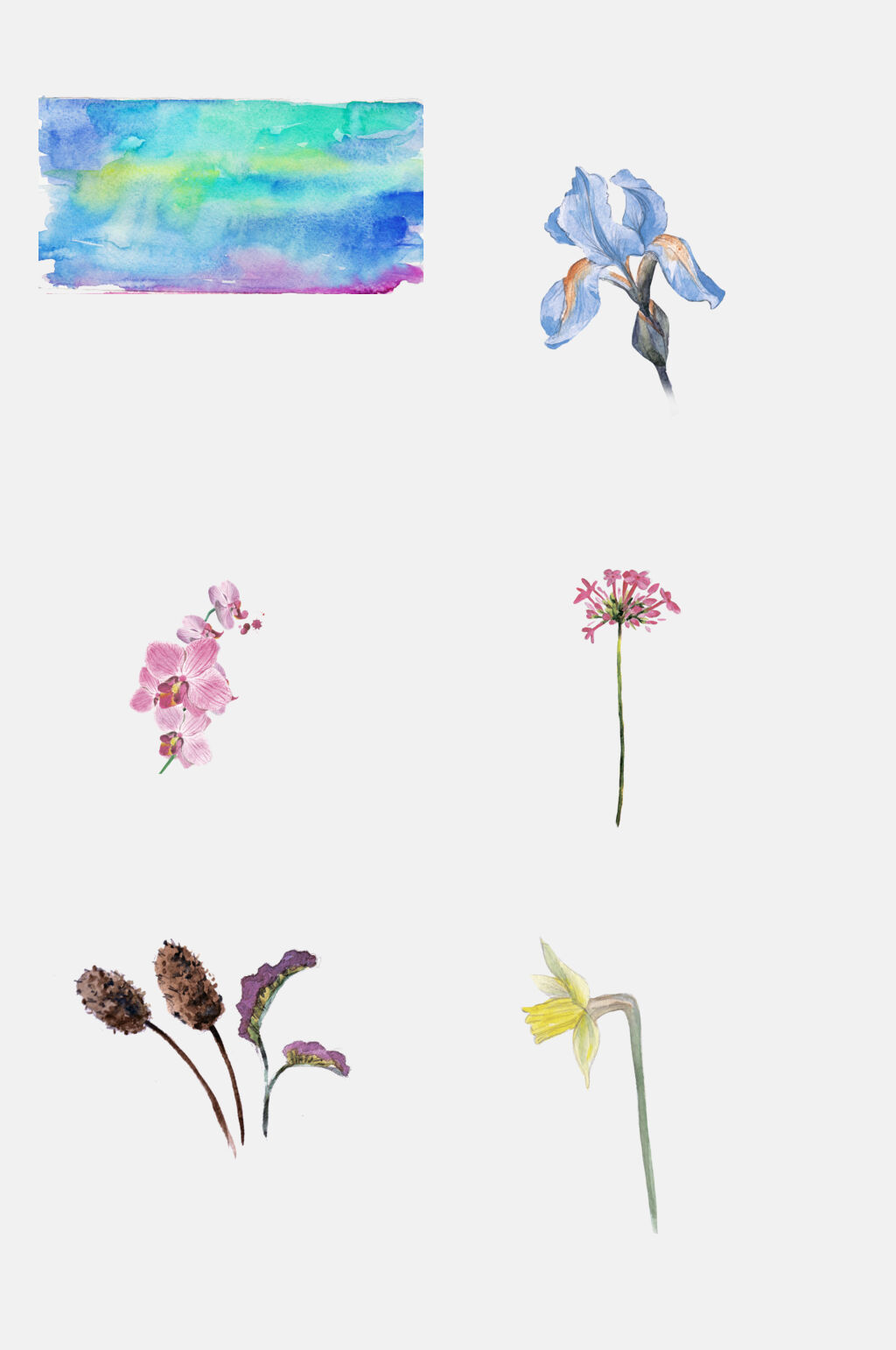 蓝色水彩动物植物蝴蝶花卉免抠素材素材