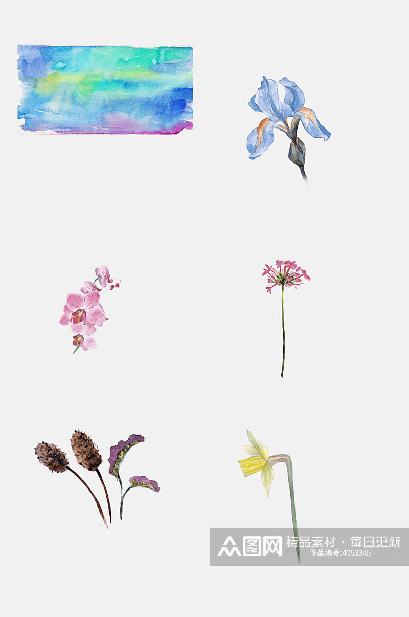 蓝色水彩动物植物蝴蝶花卉免抠素材素材