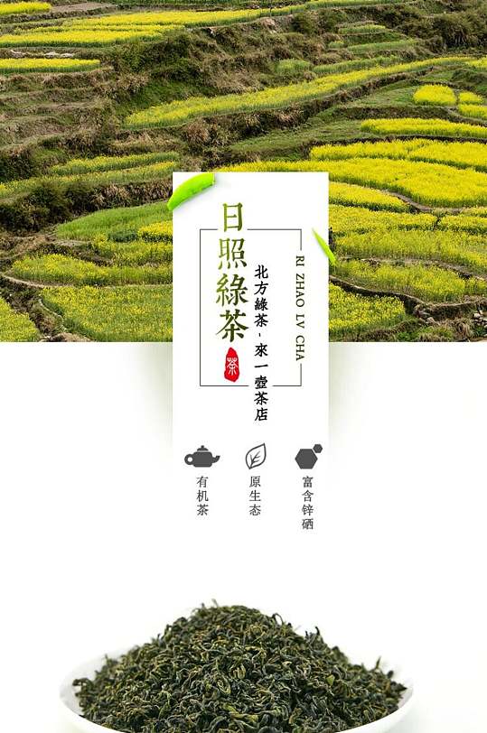 日照绿茶茶叶详情页