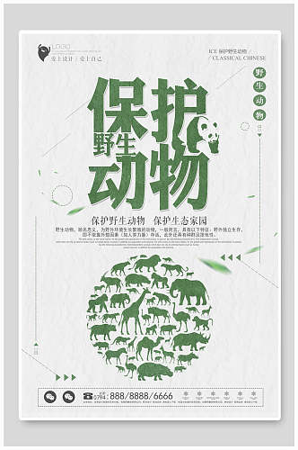 绿色保护动物海报