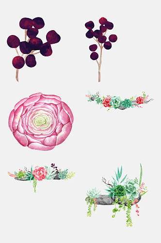 花卉水彩手绘多肉植物盆栽免抠素材