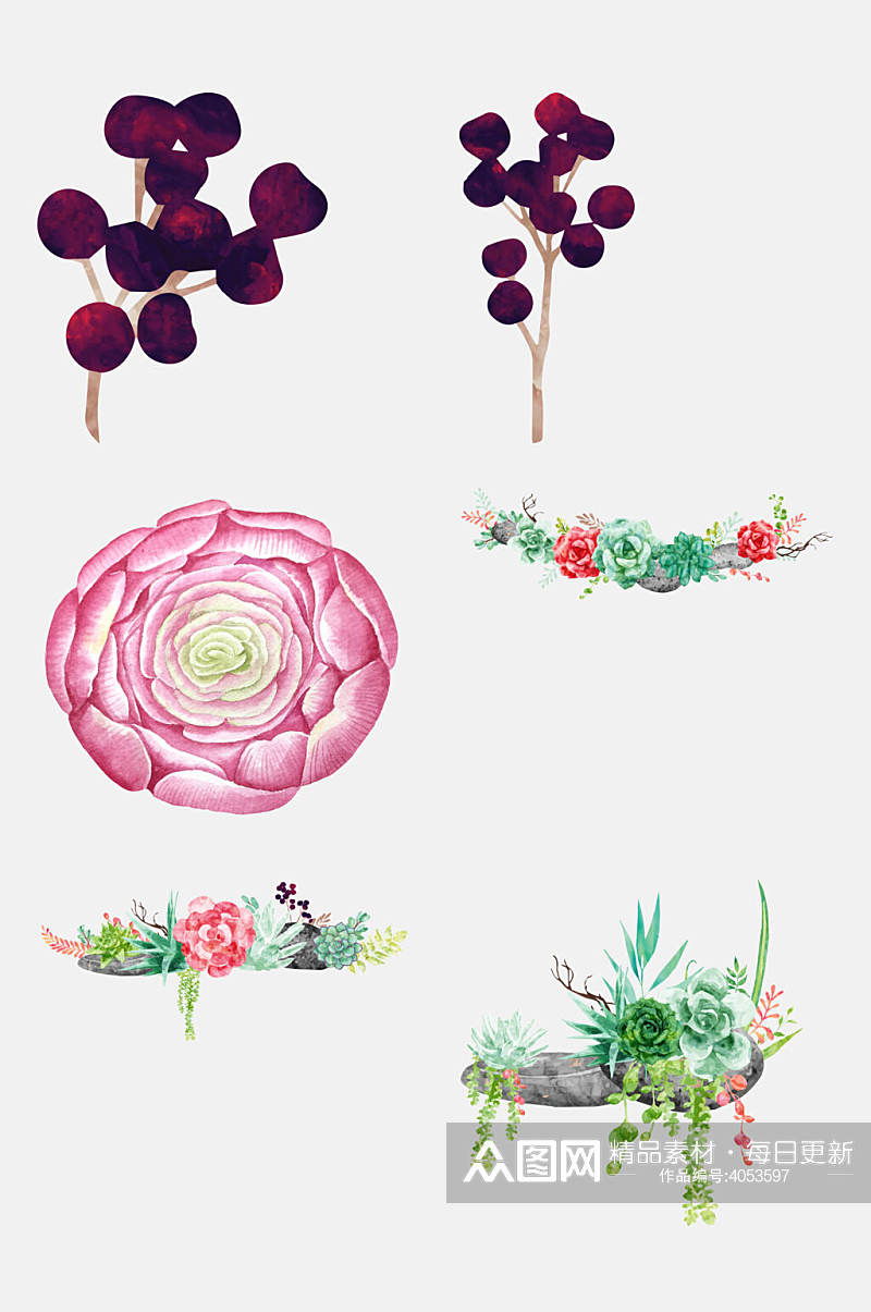 花卉水彩手绘多肉植物盆栽免抠素材素材