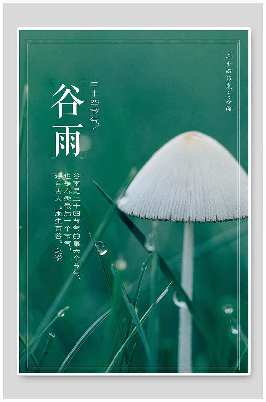 绿色蘑菇谷雨节气海报
