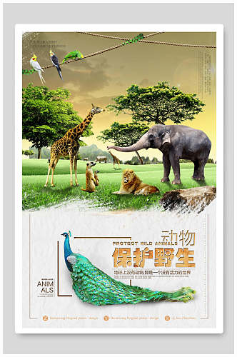 森系大象长颈鹿孔雀等保护动物海报