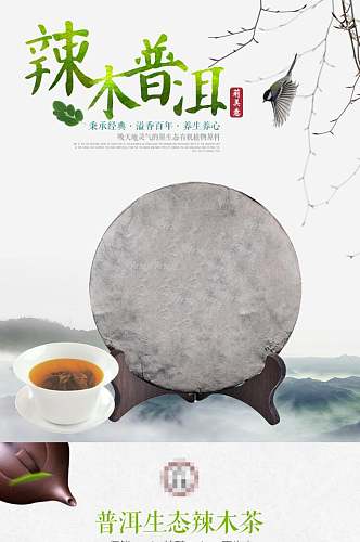 辣木普洱茶叶详情页