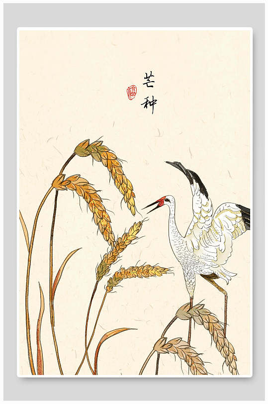 高端芒種稻米中國二十四節(jié)氣海報背景
