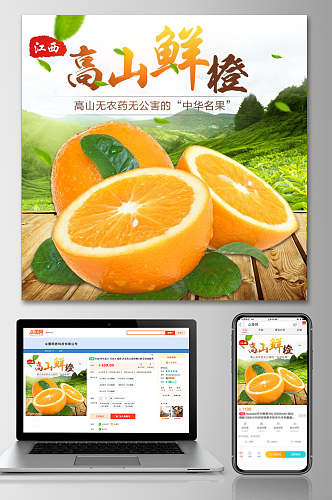 高山鲜橙水果电商主图