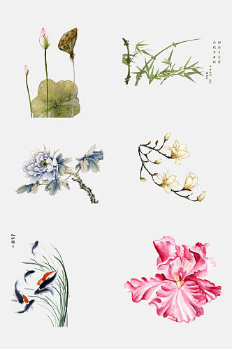 唯美花朵古风工笔画动植物免抠素材