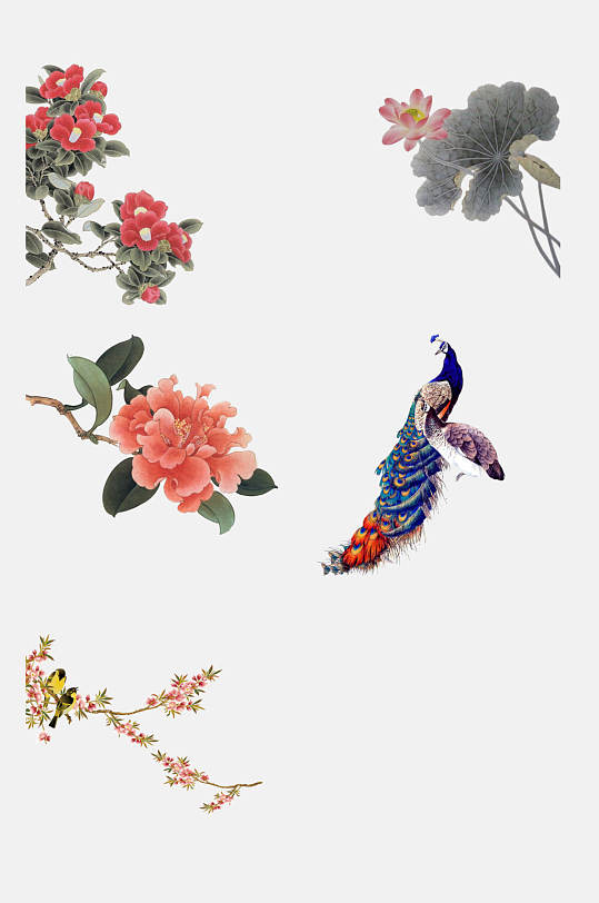 凤凰时尚古风工笔画动植物免抠素材