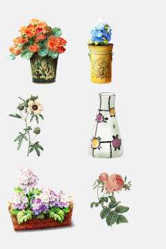 花瓶花朵花卉免抠素材