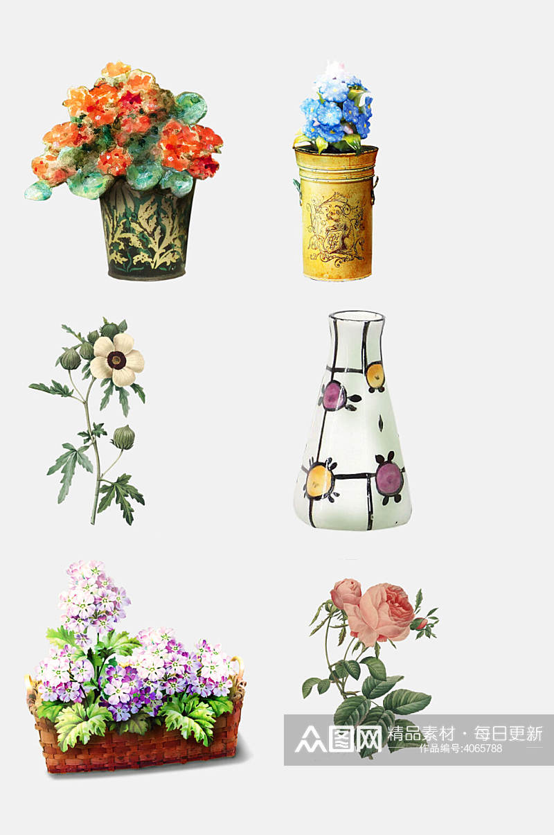 花瓶花朵花卉免抠素材素材