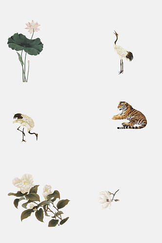 荷叶中国古风工笔画动植物免抠素材