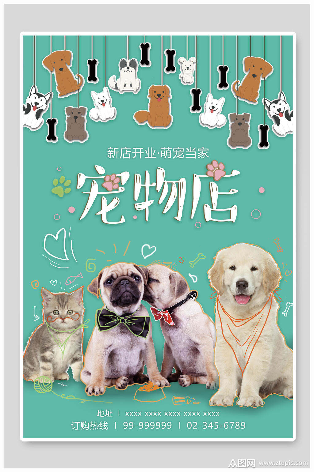 宠物店宠物之家海报模板下载-编号4056853-众图网