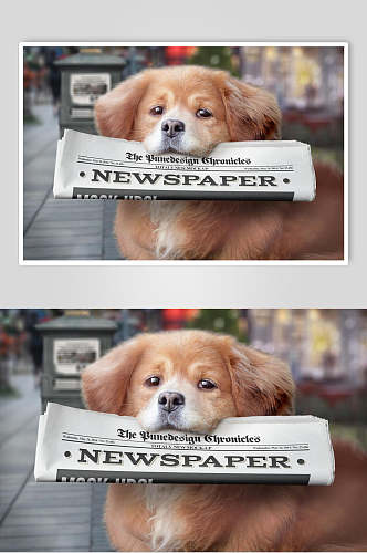 可爱小狗英文报纸报刊智能贴图展示样机