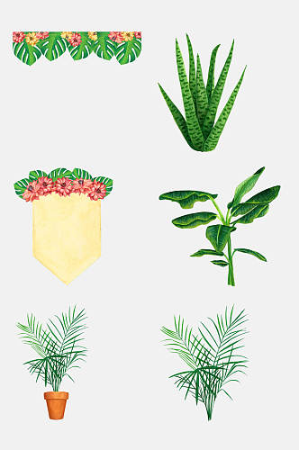 绿植花盆手绘动植物森系装饰免抠素材