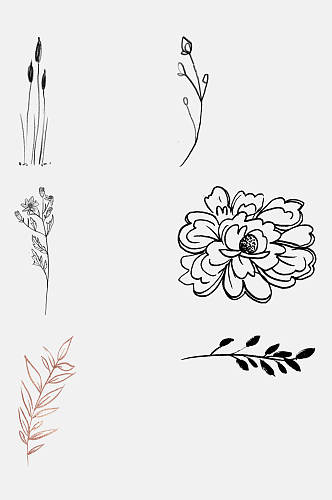 手绘花朵高端创意植物线稿免抠素材