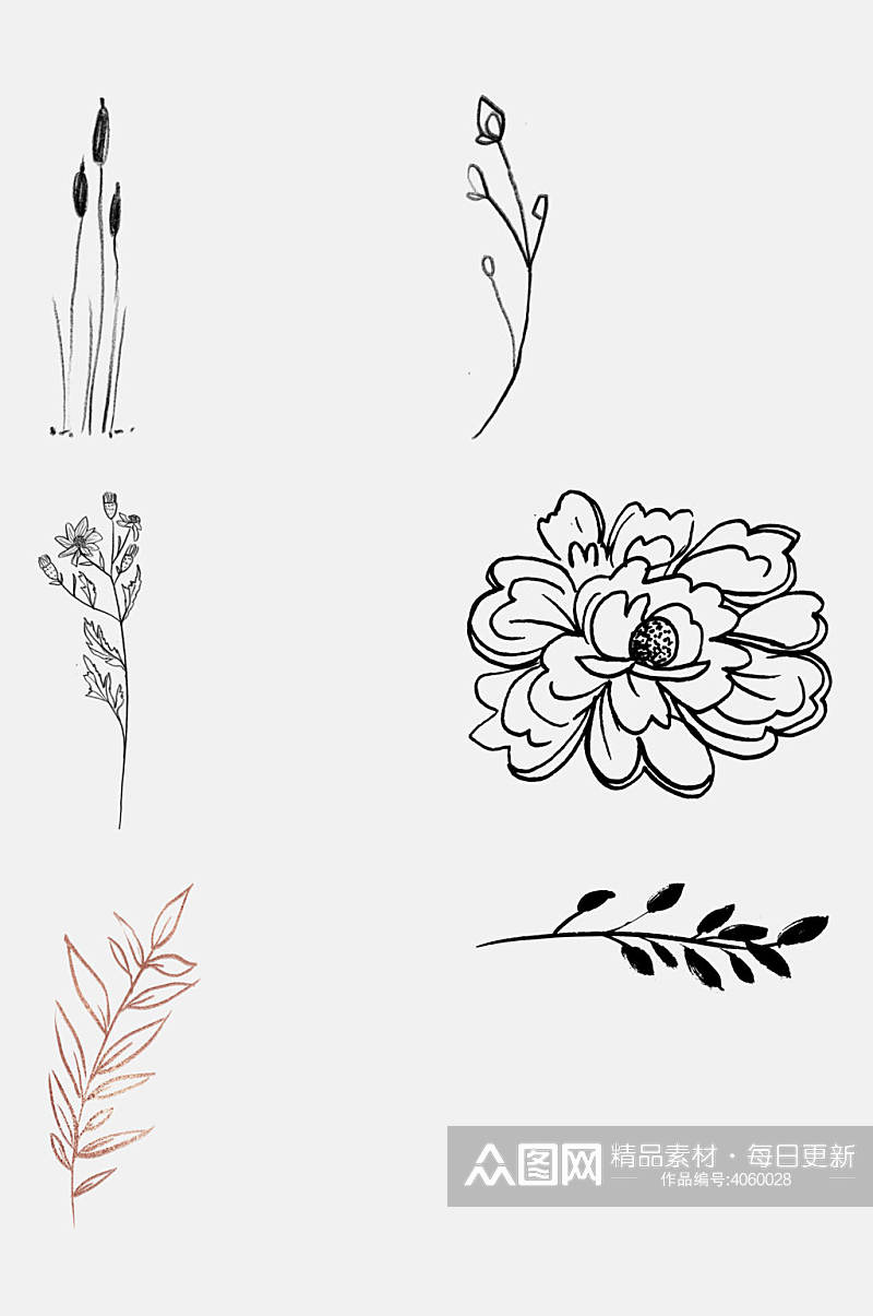 手绘花朵高端创意植物线稿免抠素材素材