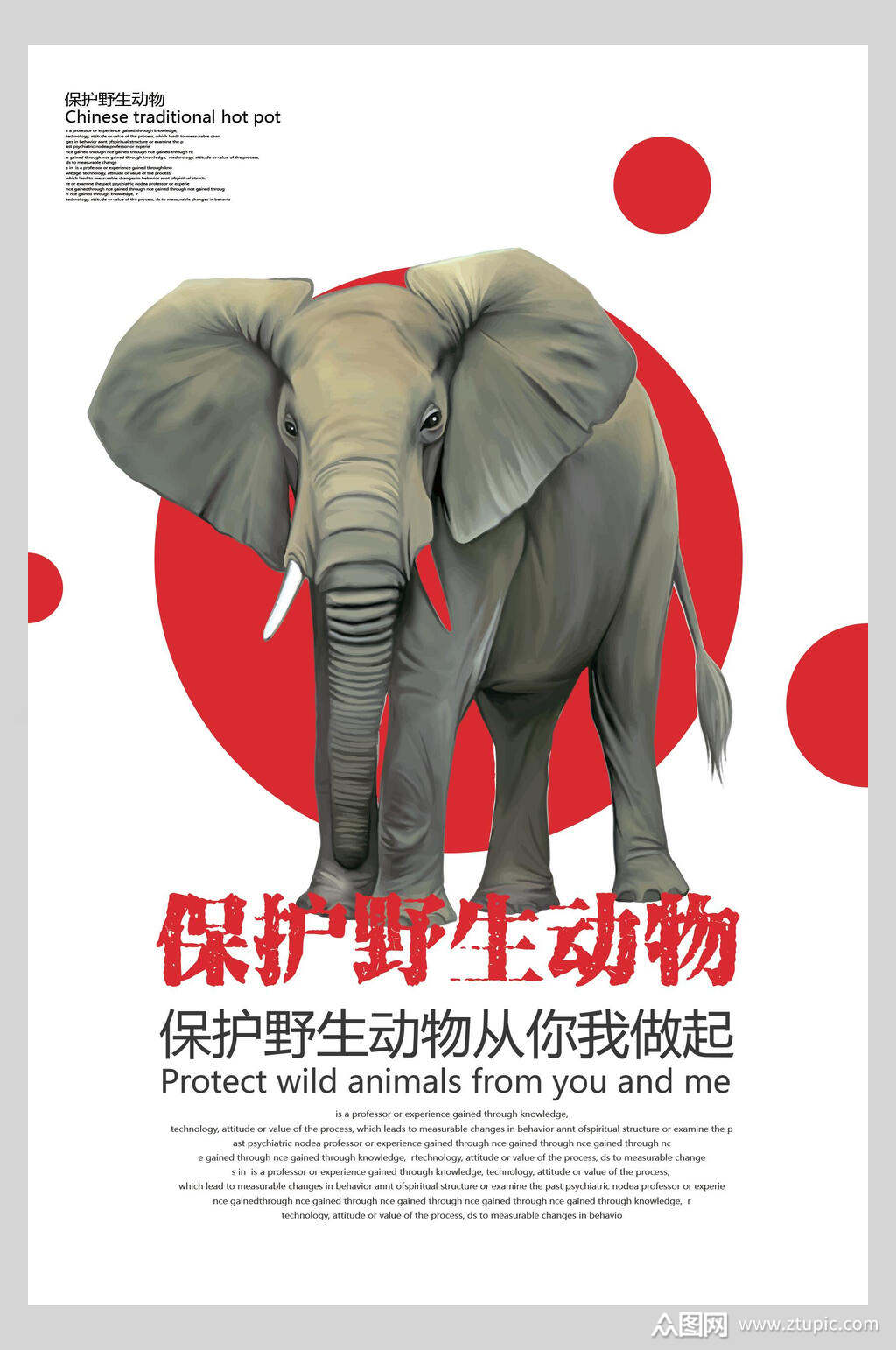 保护野生动物保护动物海报模板下载-编号4075905-众图网
