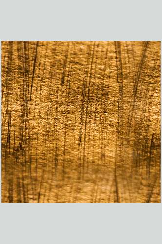 金色麻布形金箔材质图片