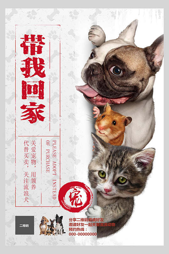 猫狗领养宠物海报