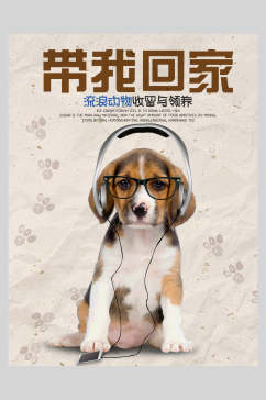 狗狗耳机领养宠物海报