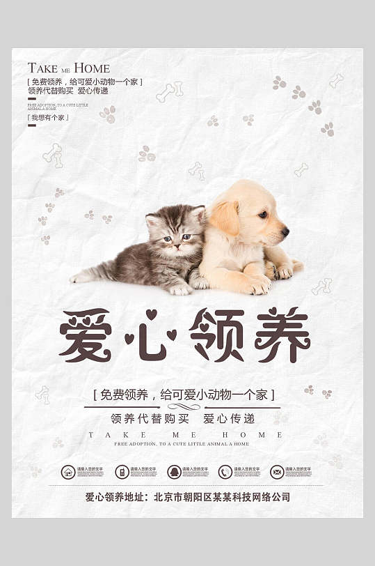 爱心领养领养宠物海报