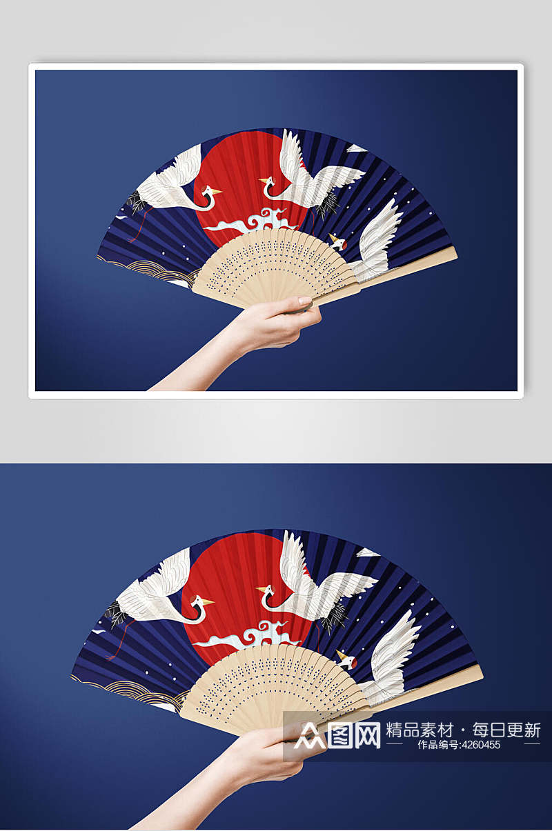 仙鹤中式折扇样机素材
