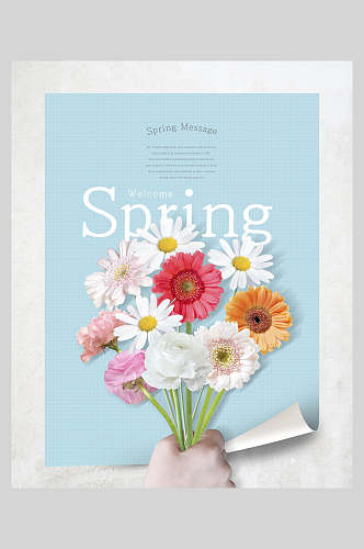 鲜花蓝色韩式春天气息海报